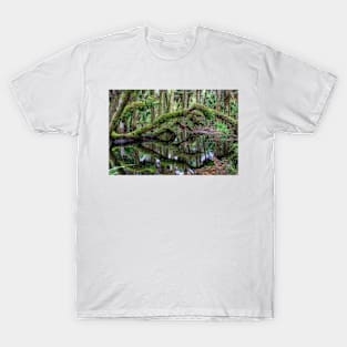 Flooded forest T-Shirt